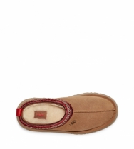 ТАПОЧКИ UGG TAZZ SLIPPER'S CHE